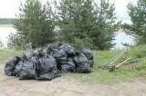 Дубнинские чиновники вышли собрать лесной мусор